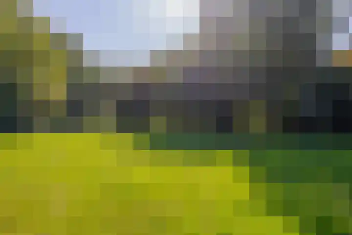 Nieuwkoopseweg 24 Pijnacker thumbnail 30