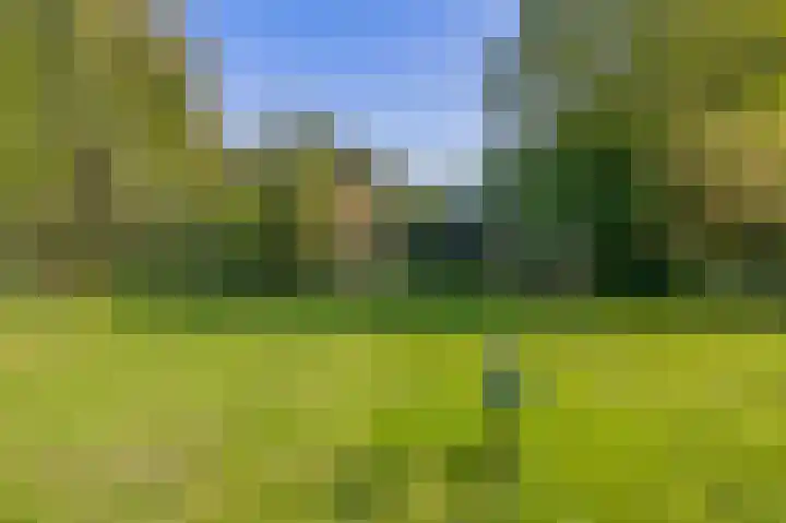 Nieuwkoopseweg 24 Pijnacker thumbnail 31