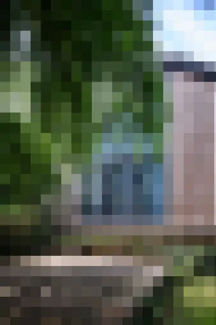 Nieuwkoopseweg 24 Pijnacker thumbnail 33