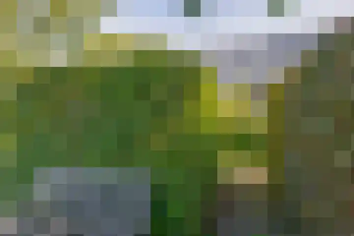 Nieuwkoopseweg 24 Pijnacker thumbnail 35