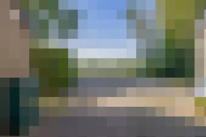 Nieuwkoopseweg 24 Pijnacker thumbnail 36
