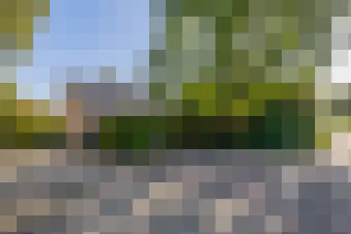Nieuwkoopseweg 24 Pijnacker thumbnail 37