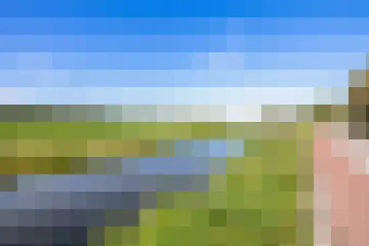 Nieuwkoopseweg 24 Pijnacker thumbnail 39