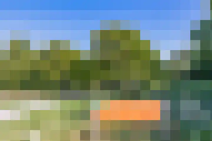 Nieuwkoopseweg 24 Pijnacker thumbnail 42