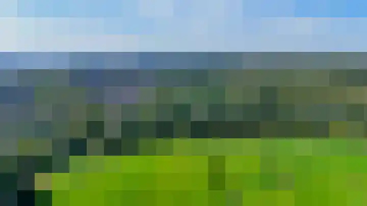 Nieuwkoopseweg 24 Pijnacker thumbnail 43