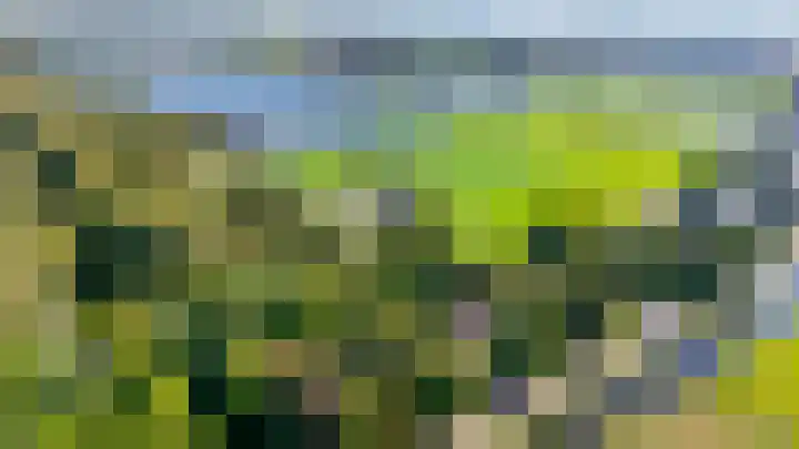 Nieuwkoopseweg 24 Pijnacker thumbnail 46