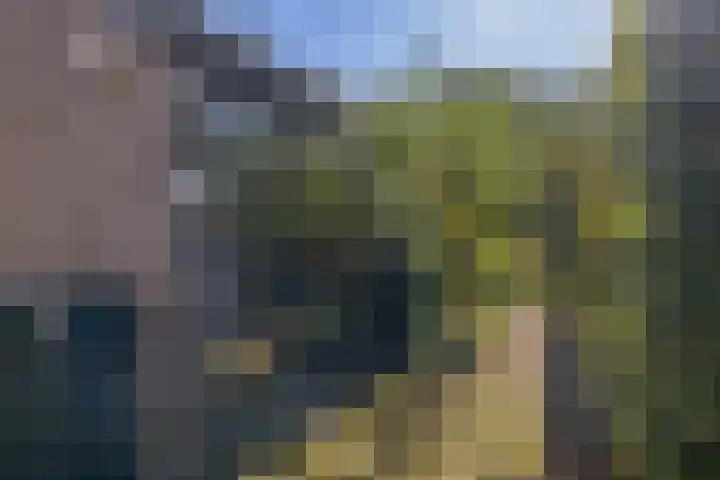 Nieuwkoopseweg 24 Pijnacker thumbnail 5