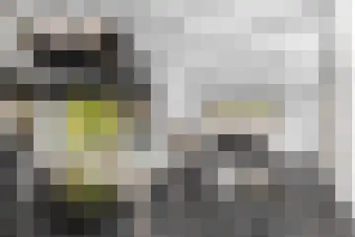 Nieuwkoopseweg 24 Pijnacker thumbnail 7