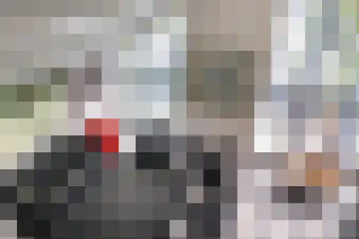 Nieuwkoopseweg 24 Pijnacker thumbnail 9