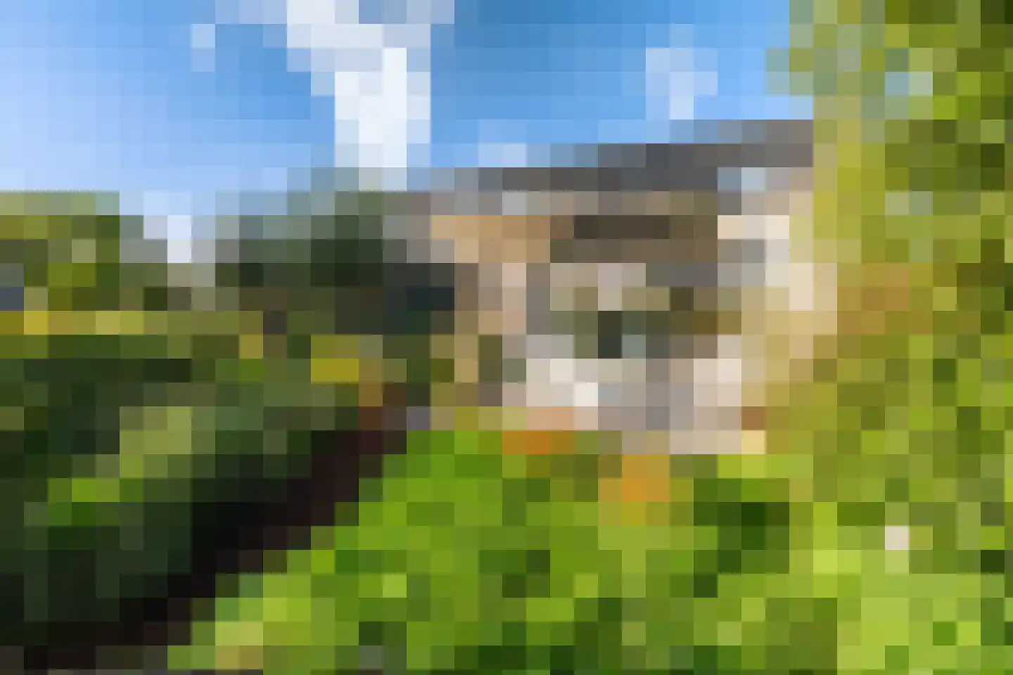 Nieuwkoopseweg 48 a Pijnacker thumbnail 13