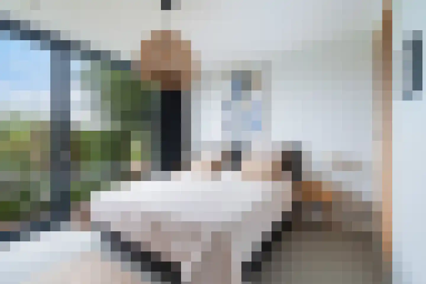 Nieuwkoopseweg 48 a Pijnacker thumbnail 19