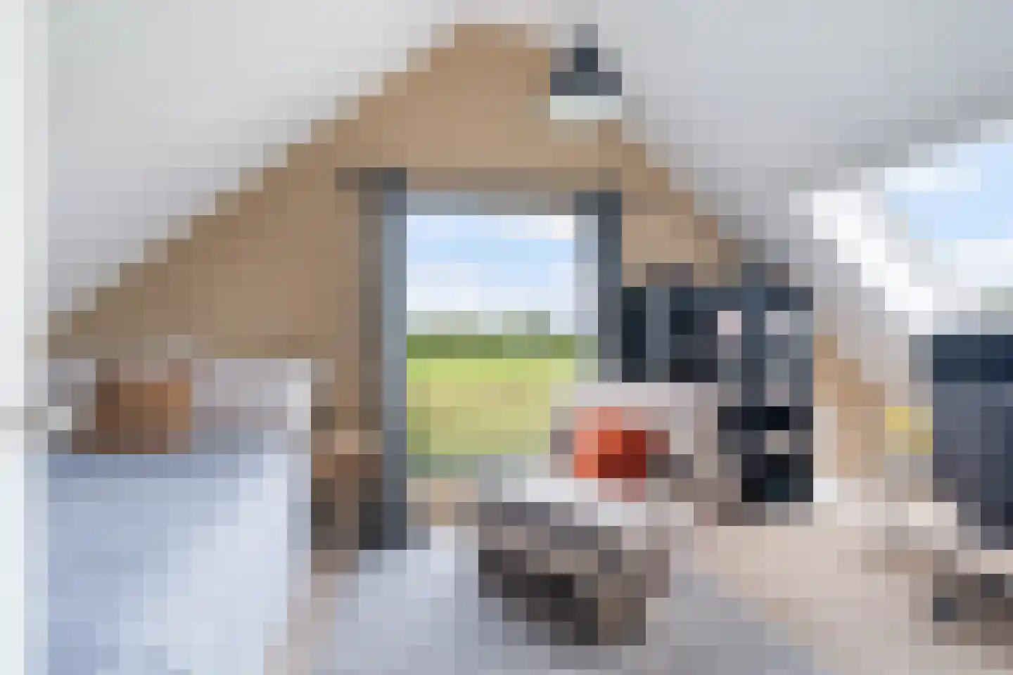 Nieuwkoopseweg 48 a Pijnacker thumbnail 24