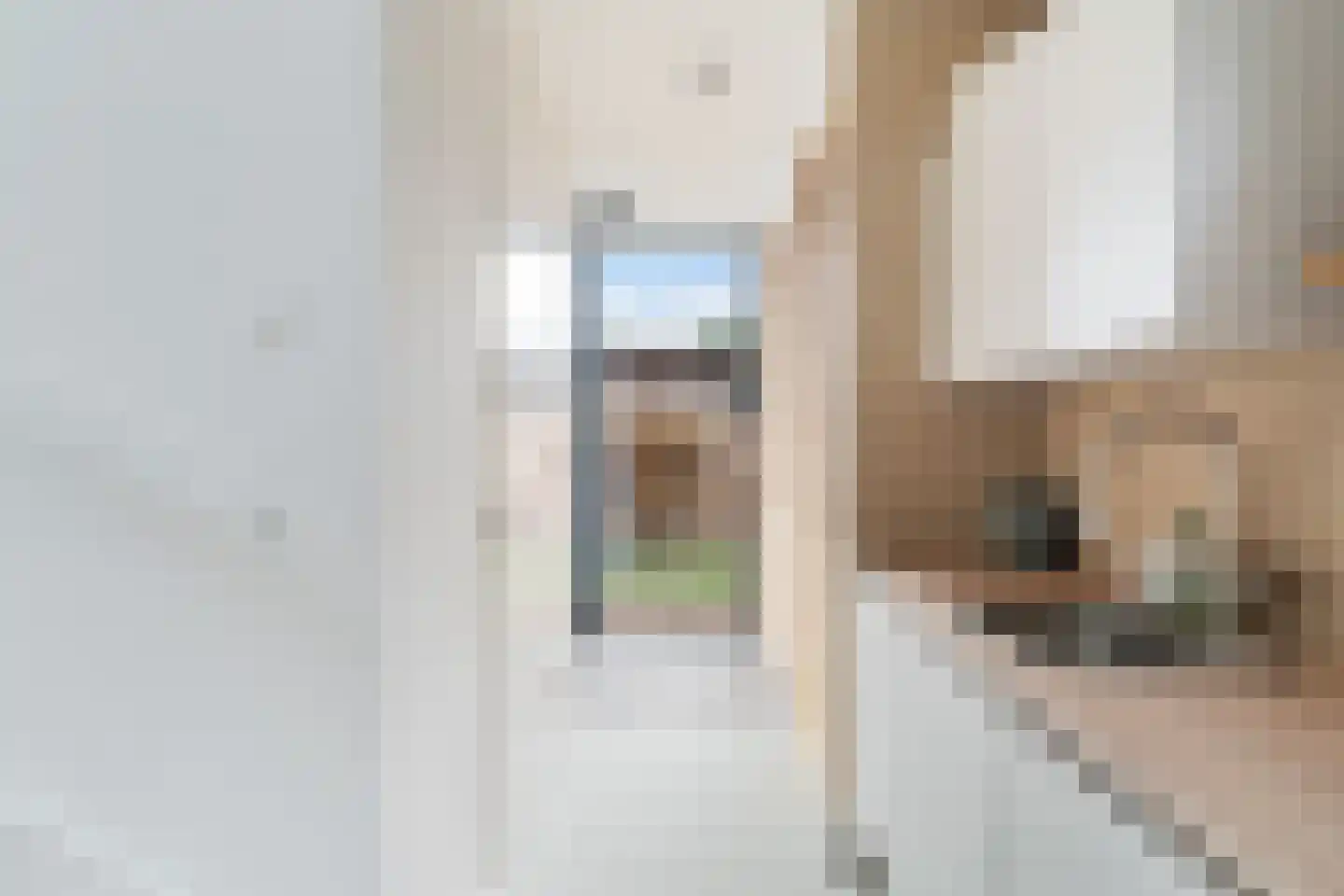 Nieuwkoopseweg 48 a Pijnacker thumbnail 27