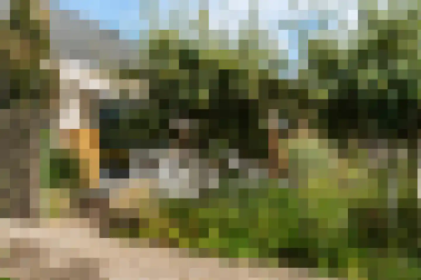 Nieuwkoopseweg 48 a Pijnacker thumbnail 33
