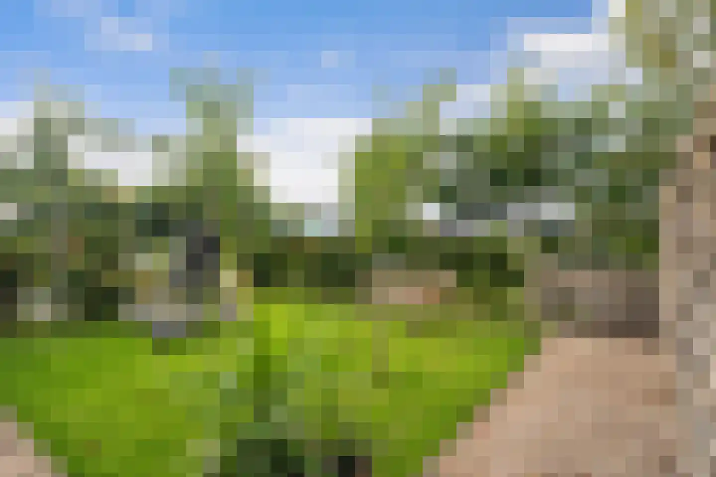 Nieuwkoopseweg 48 a Pijnacker thumbnail 35