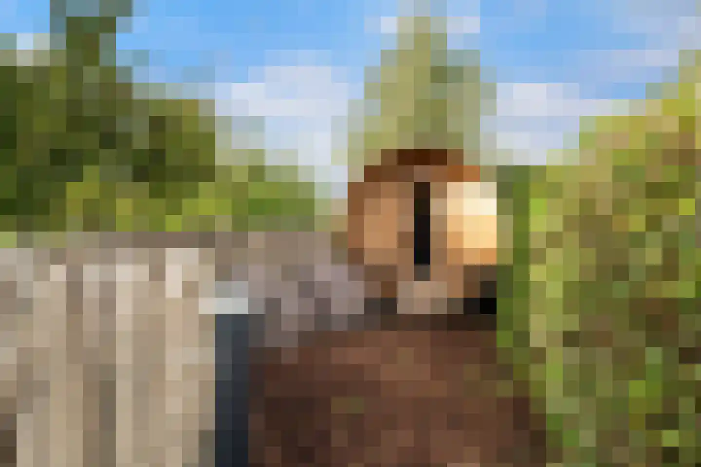 Nieuwkoopseweg 48 a Pijnacker thumbnail 39