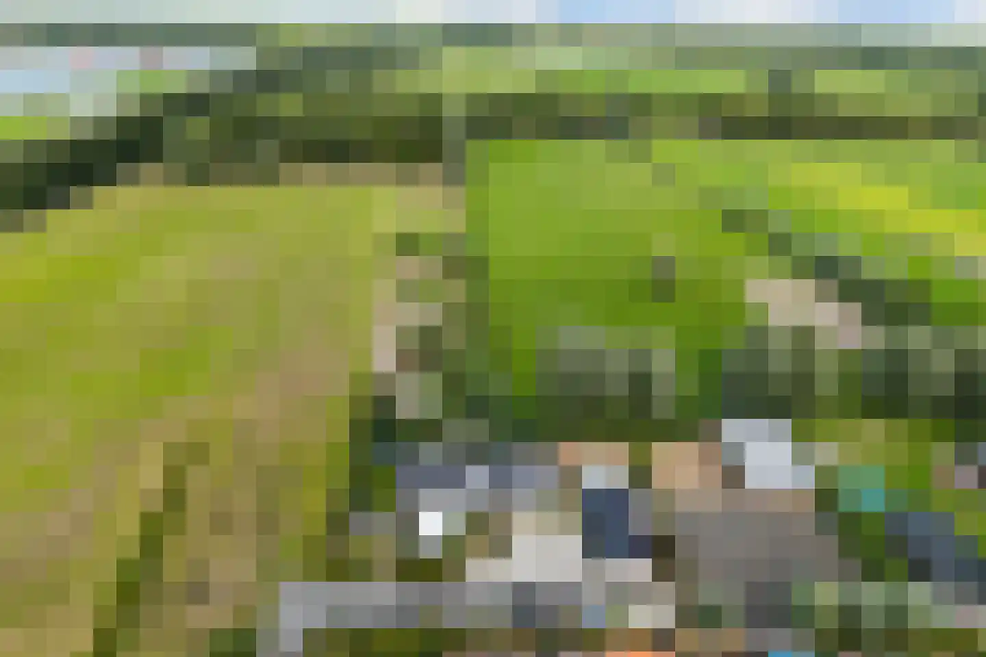 Nieuwkoopseweg 48 a Pijnacker thumbnail 5