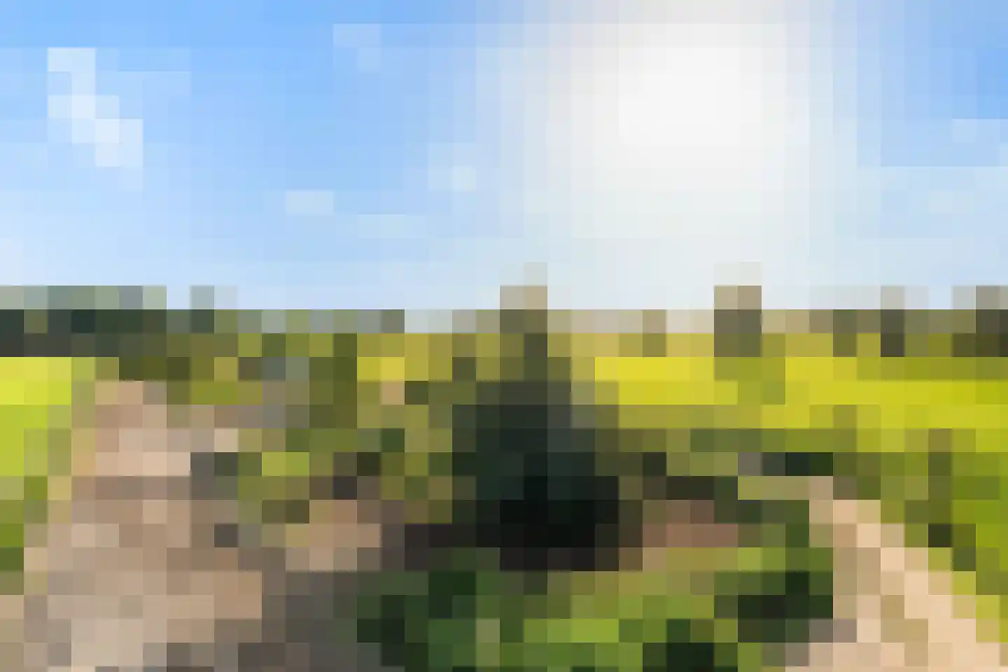 Nieuwkoopseweg 48 a Pijnacker thumbnail 51
