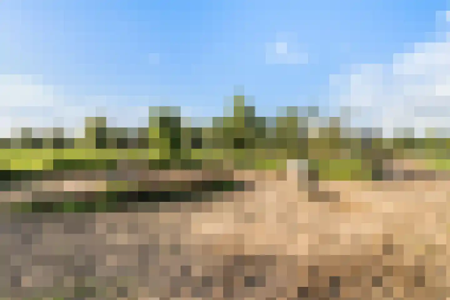 Nieuwkoopseweg 48 a Pijnacker thumbnail 52