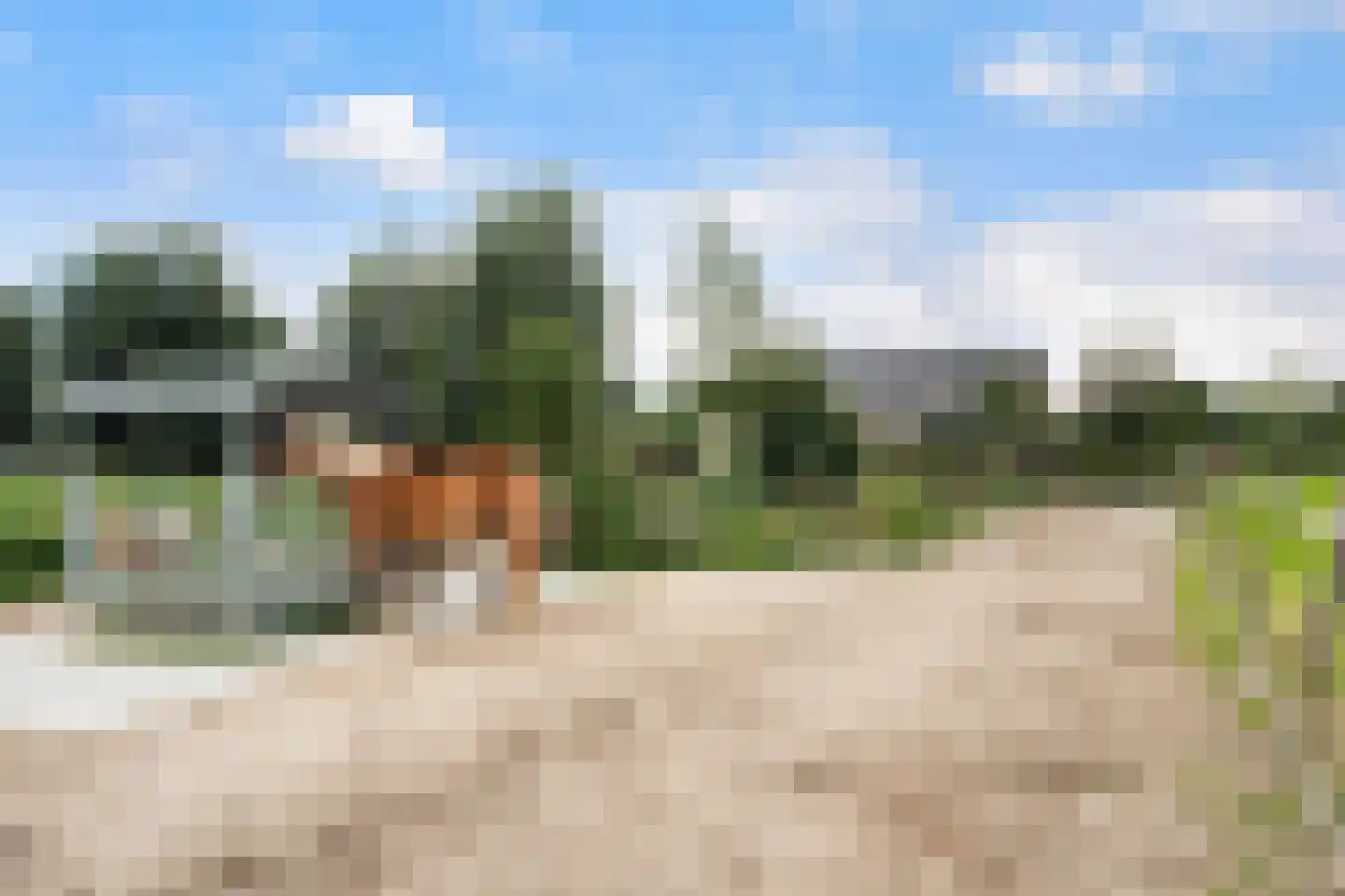 Nieuwkoopseweg 48 a Pijnacker thumbnail 53