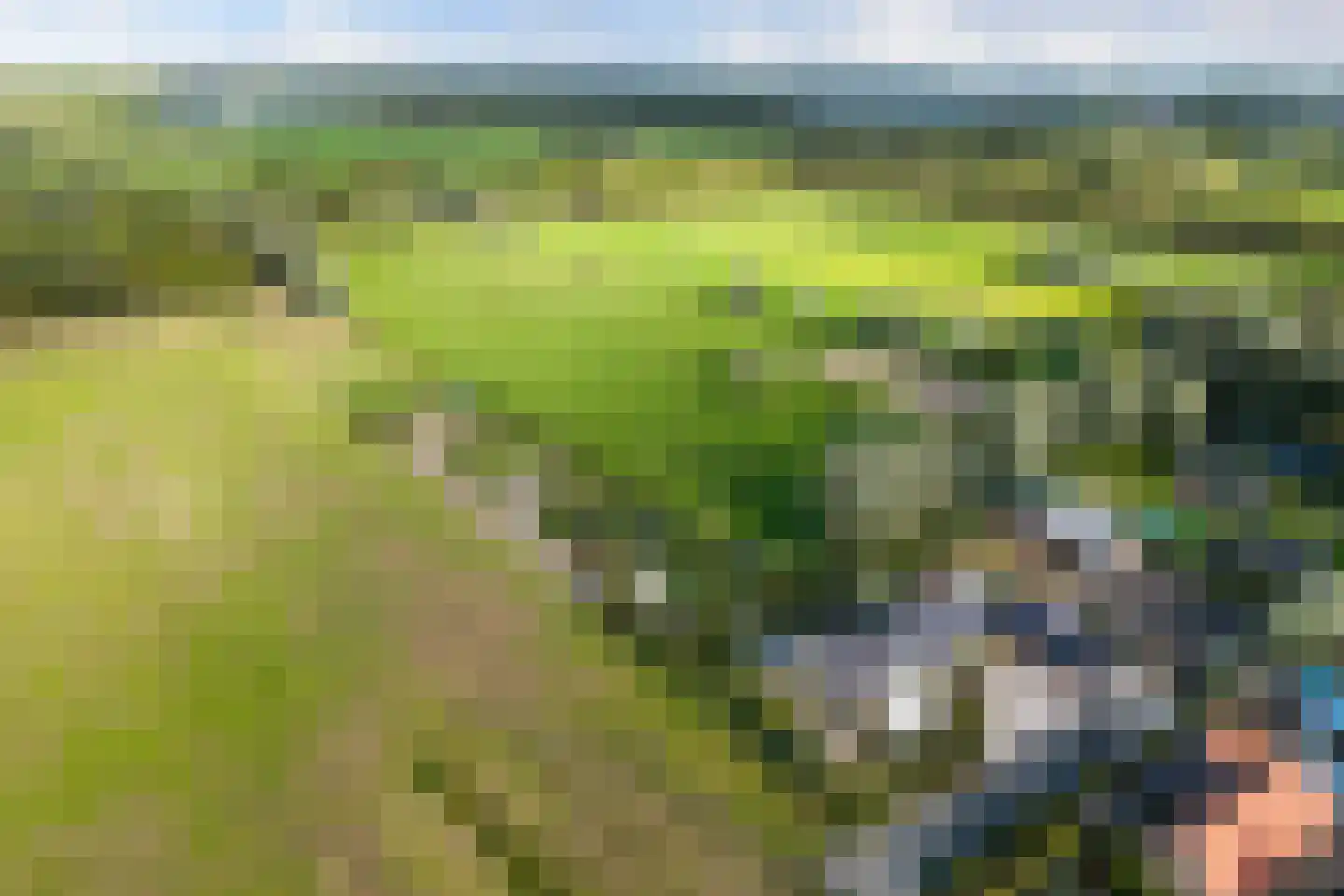 Nieuwkoopseweg 48 a Pijnacker thumbnail 57