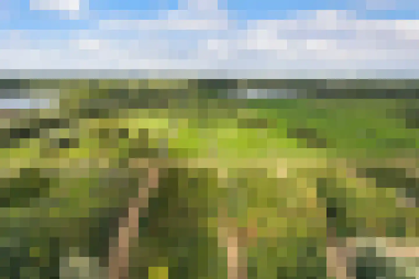 Nieuwkoopseweg 48 a Pijnacker thumbnail 59