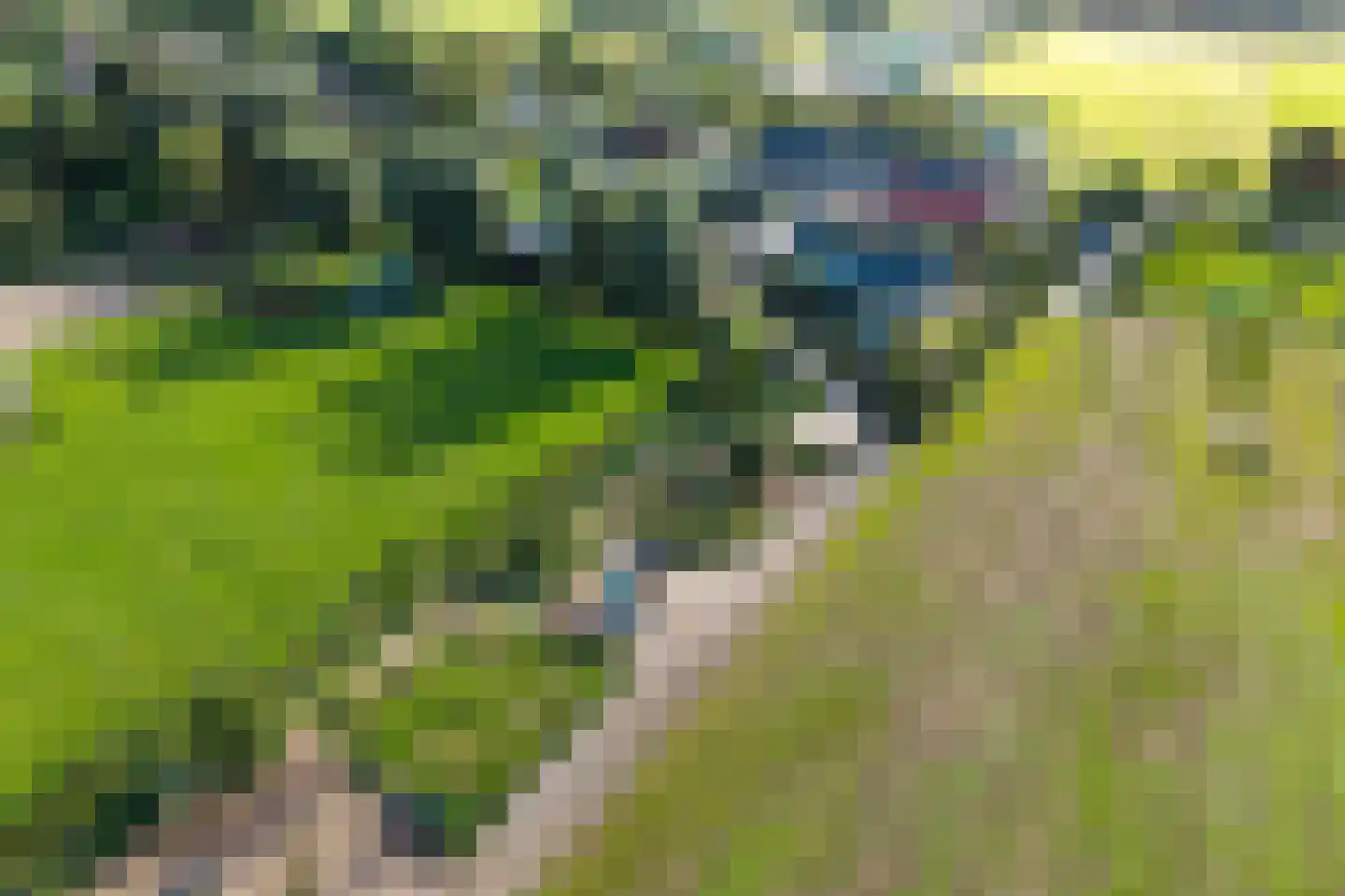 Nieuwkoopseweg 48 a Pijnacker thumbnail 6