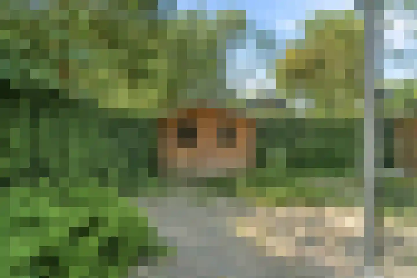 Nieuwkoopstraat 21 Arnhem thumbnail 31