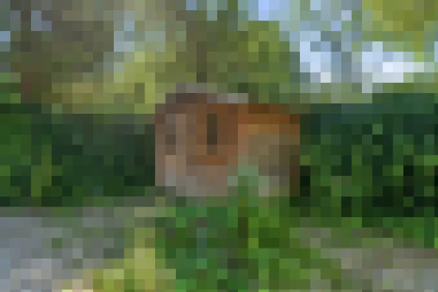 Nieuwkoopstraat 21 Arnhem thumbnail 33