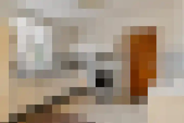 Nieuwkuijksestraat 114 Nieuwkuijk thumbnail 13