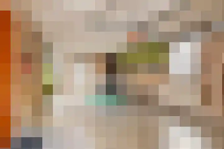 Nieuwkuijksestraat 114 Nieuwkuijk thumbnail 17