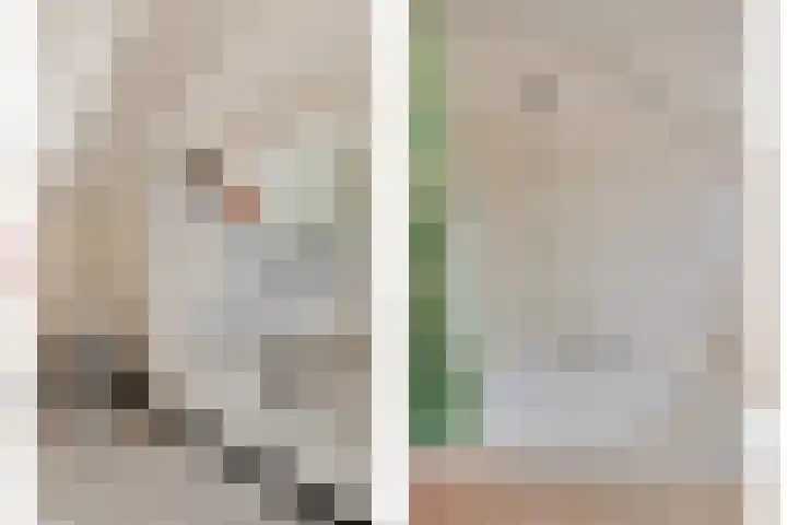 Nieuwkuijksestraat 114 Nieuwkuijk thumbnail 25