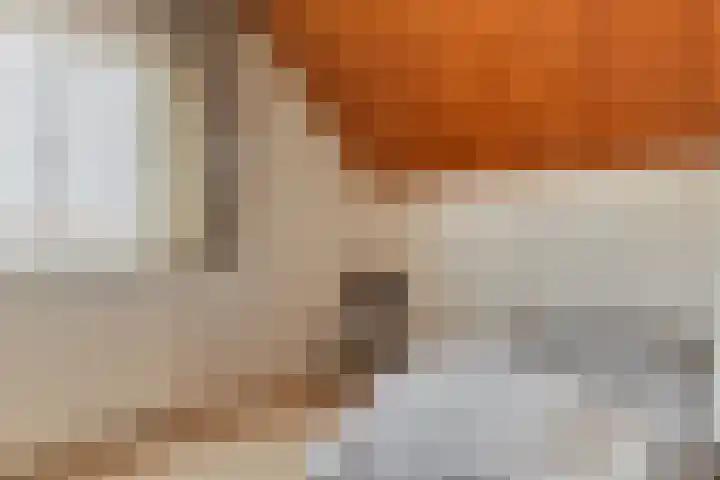 Nieuwkuijksestraat 114 Nieuwkuijk thumbnail 26