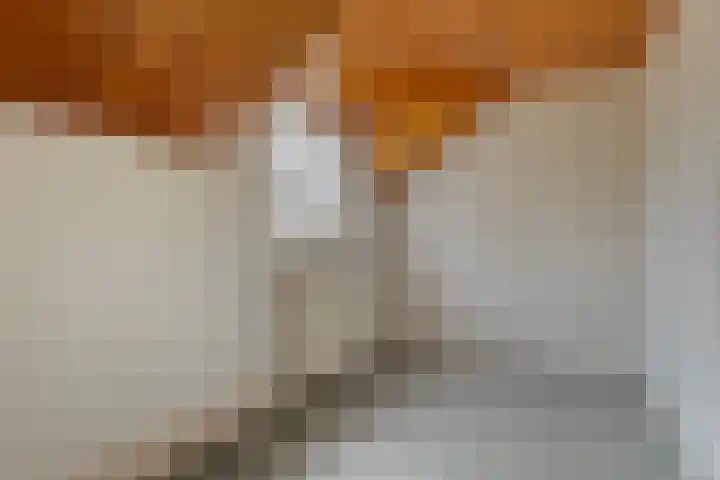 Nieuwkuijksestraat 114 Nieuwkuijk thumbnail 27