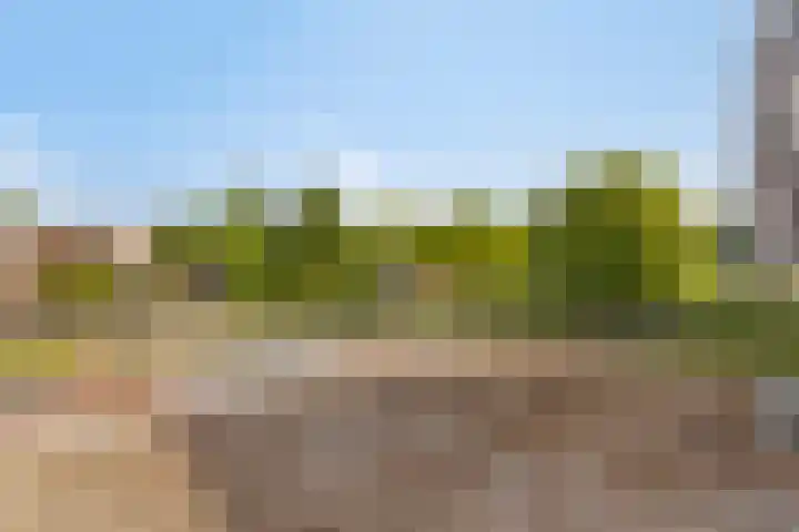 Nieuwkuijksestraat 114 Nieuwkuijk thumbnail 29