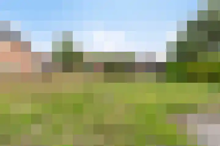Nieuwkuijksestraat 114 Nieuwkuijk thumbnail 35