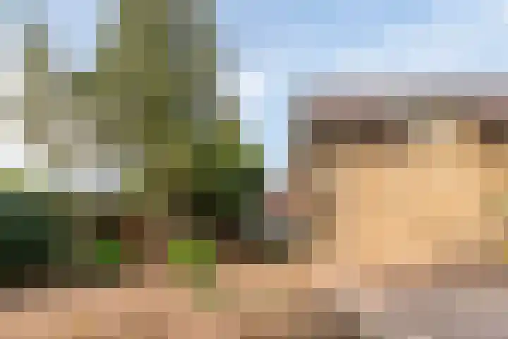 Nieuwkuijksestraat 114 Nieuwkuijk thumbnail 37