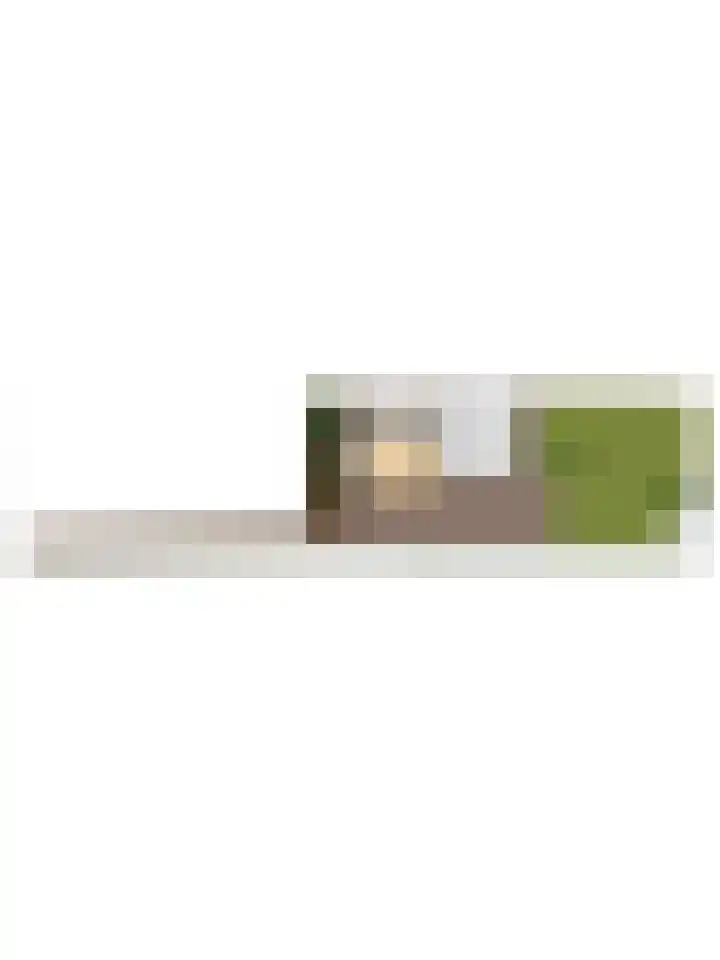 Nieuwkuijksestraat 114 Nieuwkuijk thumbnail 39