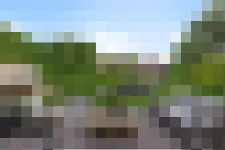 Nieuwkuijksestraat 114 Nieuwkuijk thumbnail 4