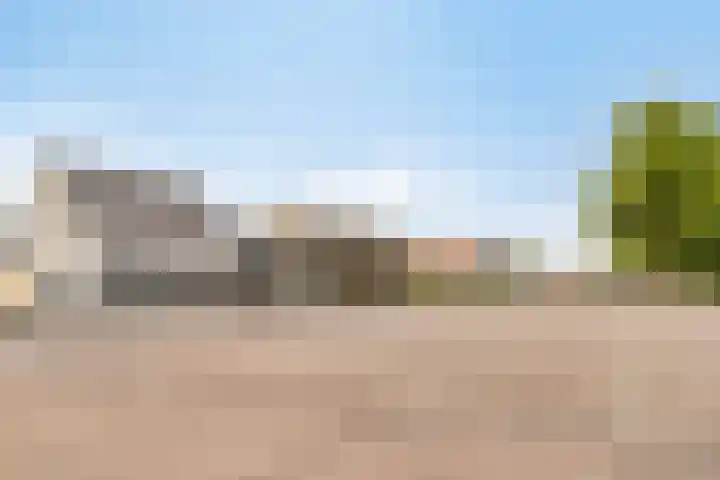 Nieuwkuijksestraat 114 Nieuwkuijk thumbnail 41