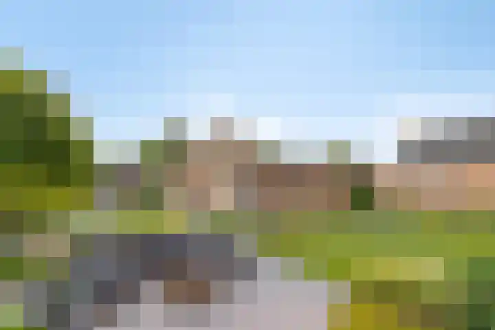 Nieuwkuijksestraat 114 Nieuwkuijk thumbnail 5