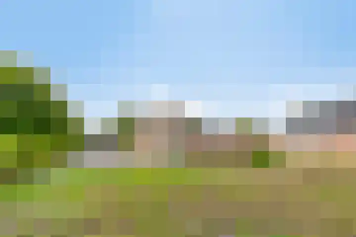 Nieuwkuijksestraat 114 Nieuwkuijk thumbnail 6