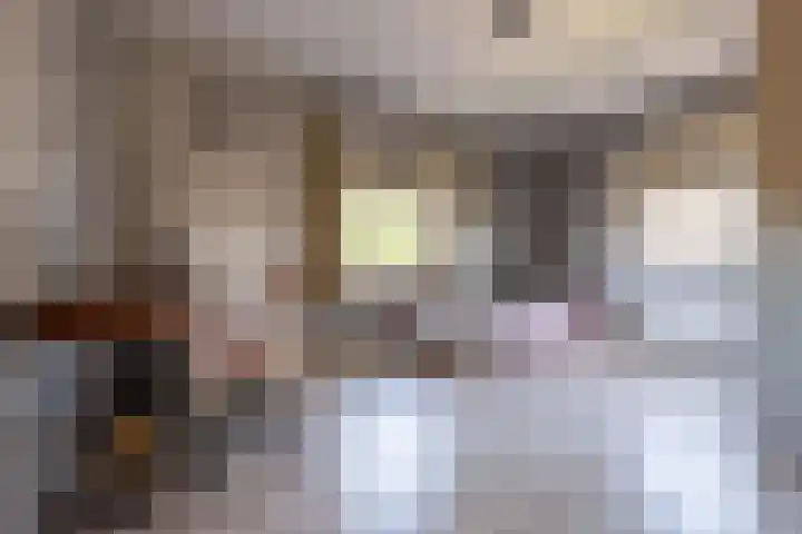 Nieuwkuijksestraat 158 A Nieuwkuijk thumbnail 18