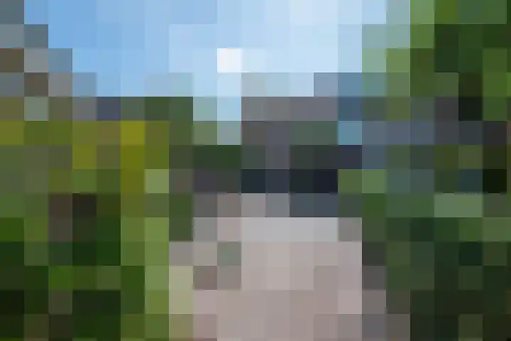 Nieuwkuijksestraat 158 A Nieuwkuijk thumbnail 30