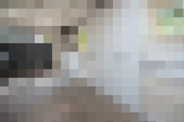 Nieuwkuijksestraat 158 A Nieuwkuijk thumbnail 41