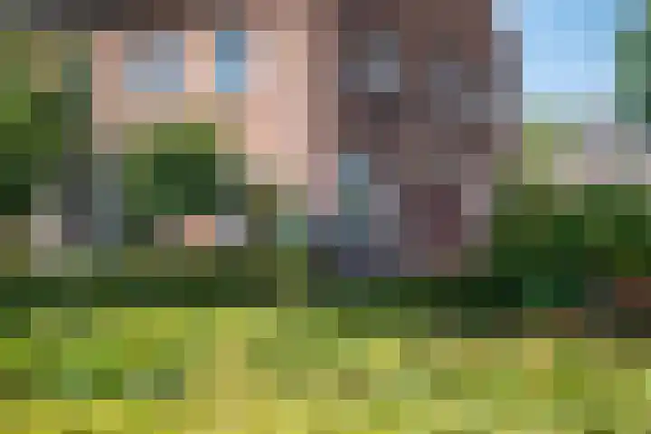 Nieuwkuijksestraat 158 A Nieuwkuijk thumbnail 45