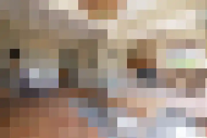 Nieuwkuijksestraat 158 A Nieuwkuijk thumbnail 5