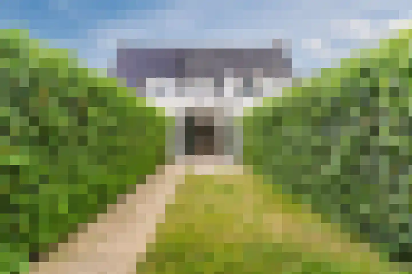 Nieuwkuijksestraat 25 A Nieuwkuijk thumbnail 18