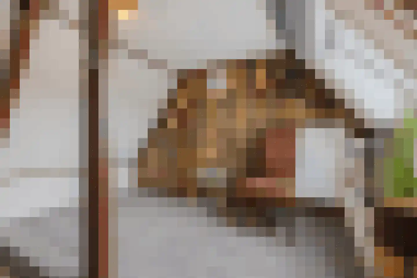 Nieuwkuijksestraat 25 Nieuwkuijk thumbnail 23