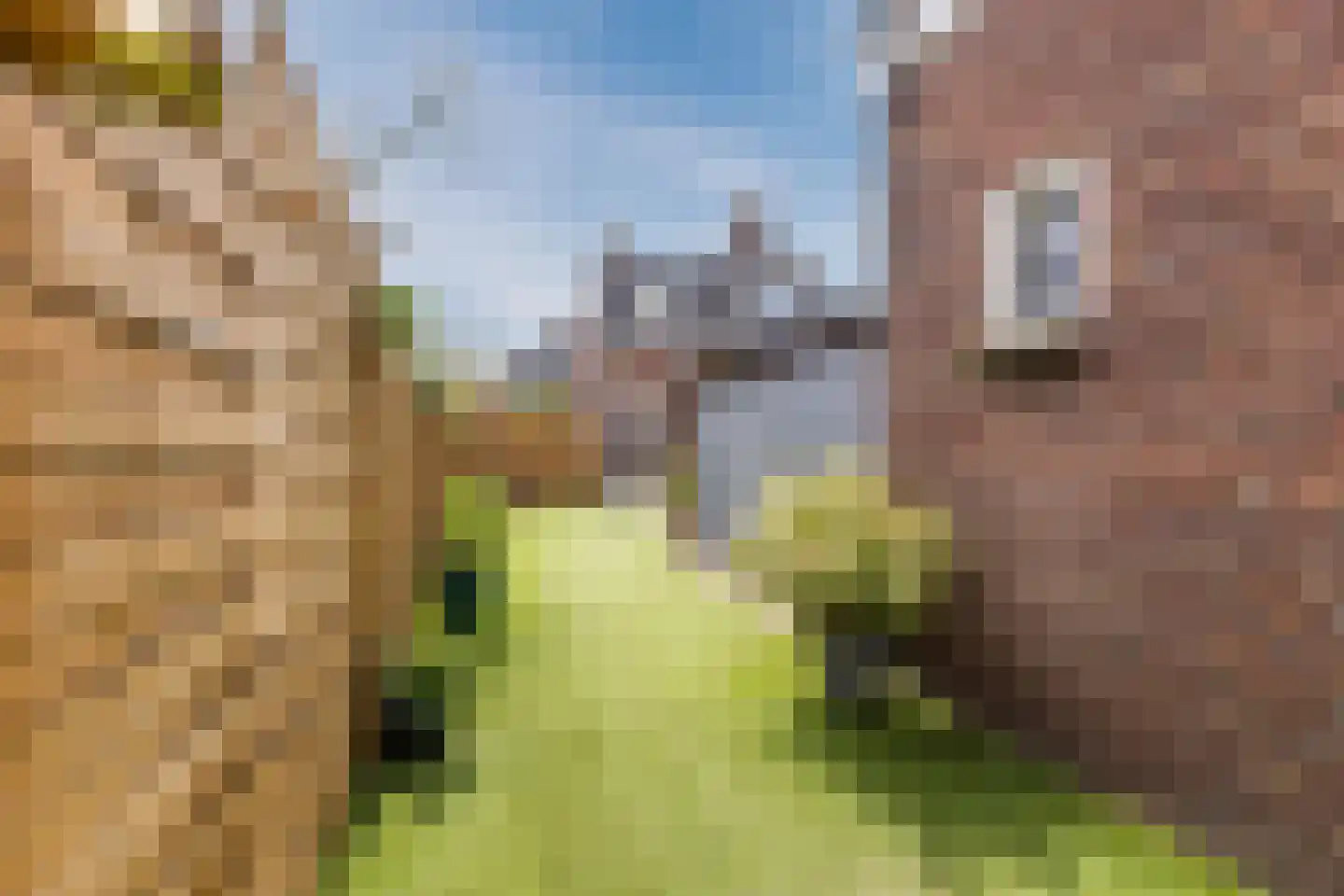 Nieuwkuijksestraat 25 Nieuwkuijk thumbnail 27